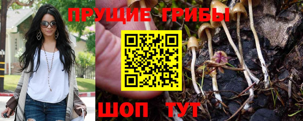 Петровск  Псилоцибиновые грибы MAGIC MUSHROOMS  Вход с VPN 